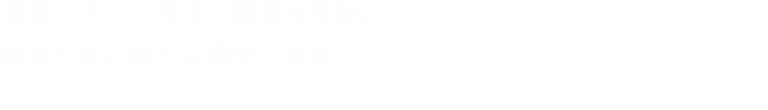 道路、河川、港湾、農業用施設、開発行為に関わる調査・測量、3Dレーザスキャナ、UAVを活用した写真測量・空撮事業